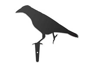Garden Crow Brother 3, Metal Yard Art for Bird Lovers