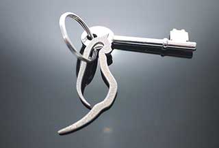 Cat Keychain, Cat Keyring