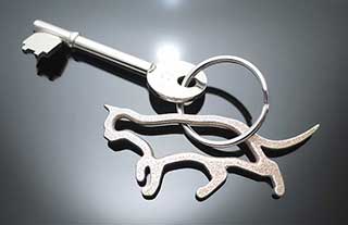 Horse Keychain, Pony Keyring
