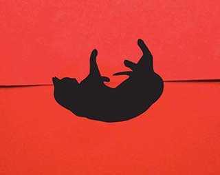 Cat Mini Stickers, Set 2 (50)