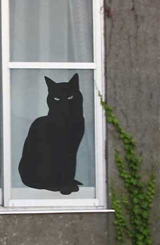 Window Cat Sticker