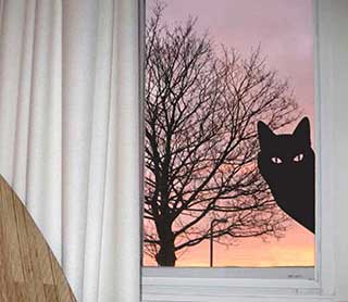 Peeping Tom Cat Wall or Window Sticker