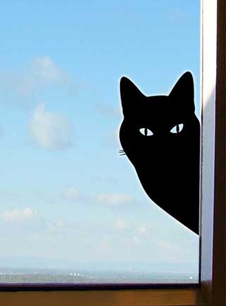 Peeping Tom Cat Wall or Window Sticker