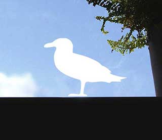 Circling Seagulls Wall or Window Stickers
