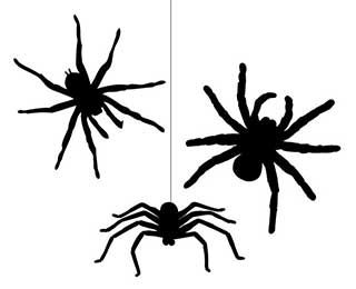 Spider Wall Stickers