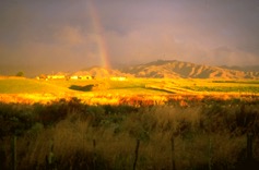 Otaki Hills are ON, New Zealand, Jolyon Yates