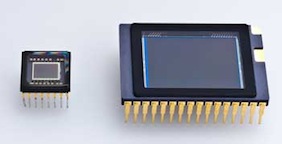 point shoot M43 sensors Olympus