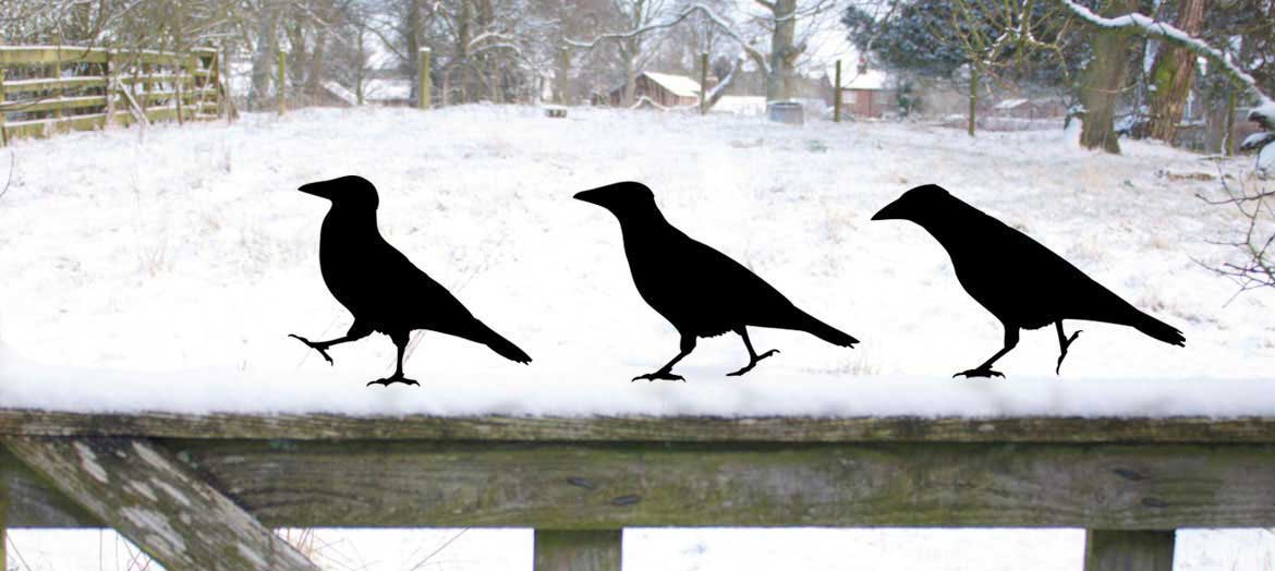 Crow Garden Ornament Yard Art Crow Garden Ornament Yard Art